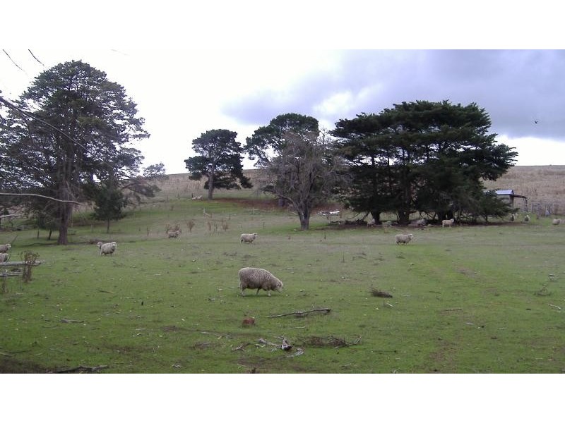 389 Mocamboro Road, Henty VIC 3312