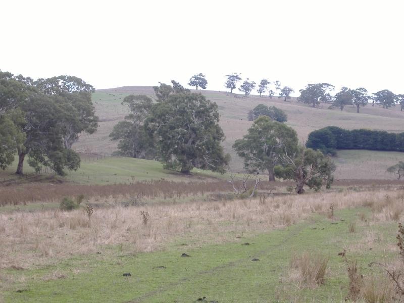 389 Mocamboro Road, Henty VIC 3312