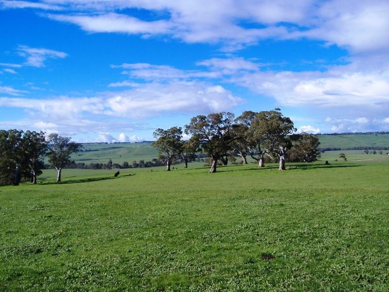 Dunrobin VIC 3312