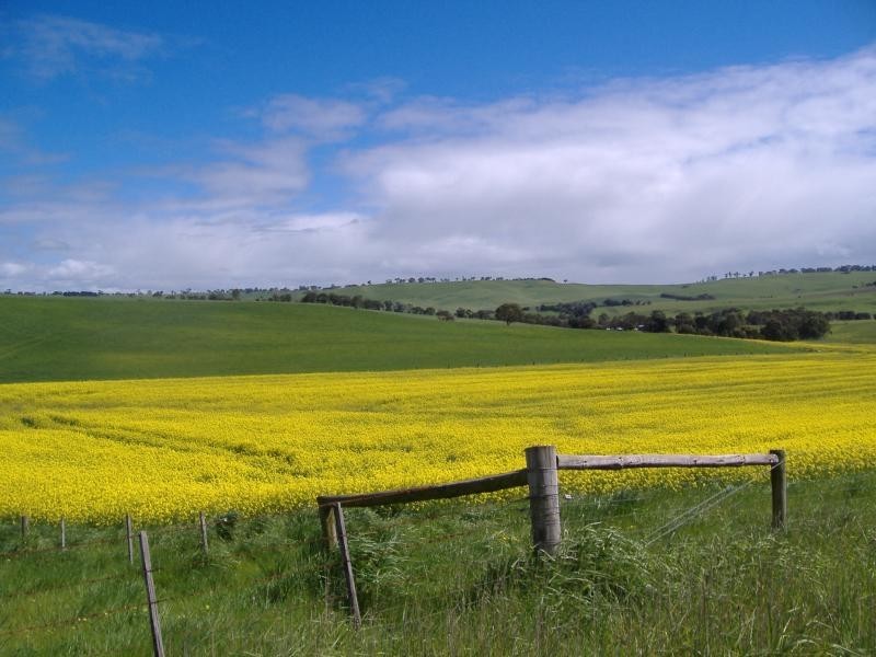 5 Shadys Lane, Muntham VIC 3315