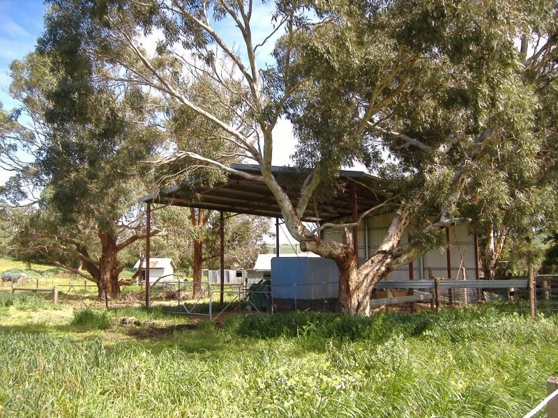 5 Shadys Lane, Muntham VIC 3315