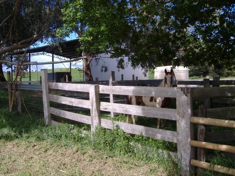 5 Shadys Lane, Muntham VIC 3315