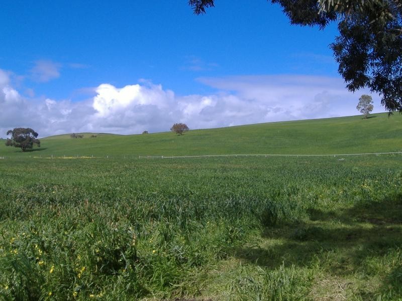 5 Shadys Lane, Muntham VIC 3315