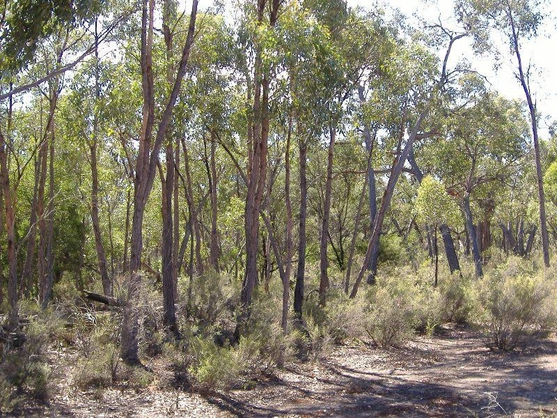 814 Tallengower Road, Chetwynd VIC 3312