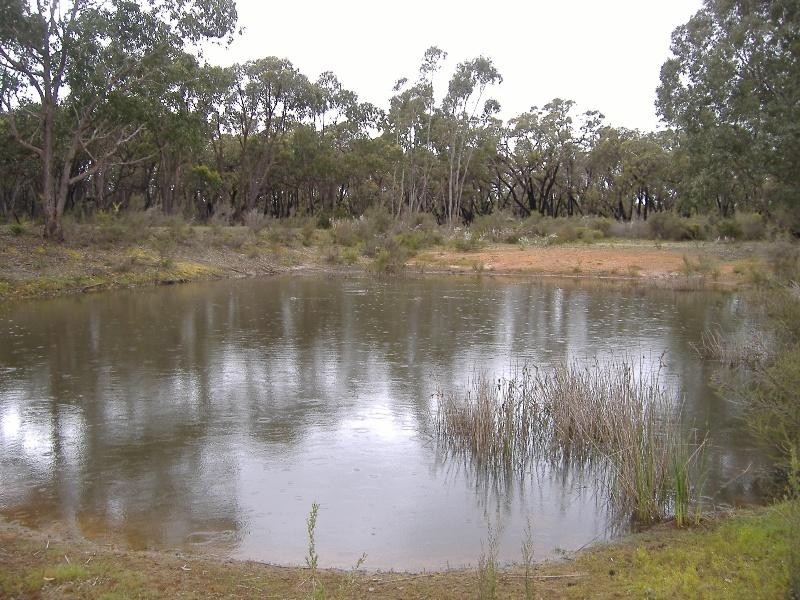 814 Tallengower Road, Chetwynd VIC 3312