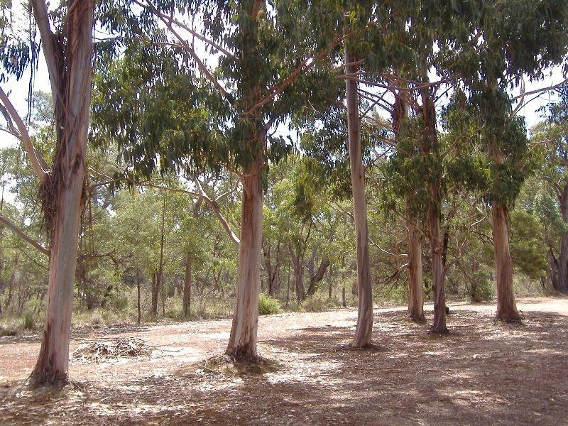 814 Tallengower Road, Chetwynd VIC 3312