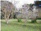 880 Noss Retreat Road, Dunrobin, Casterton VIC 3311
