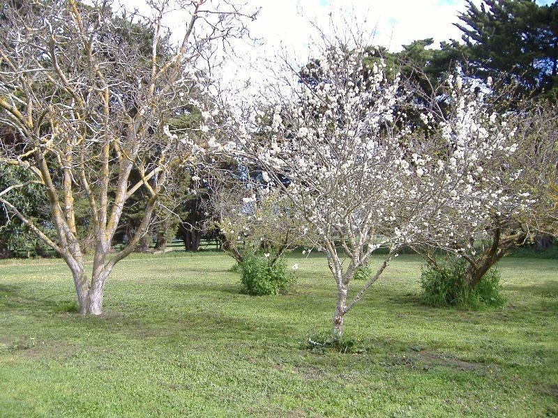 880 Noss Retreat Road, Dunrobin, Casterton VIC 3311