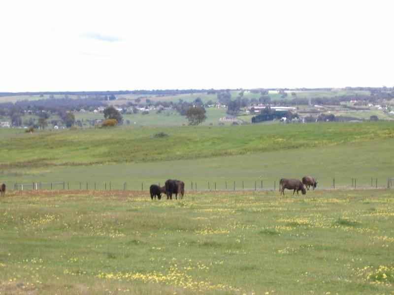 272 Noss Retreat Road, Casterton VIC 3311