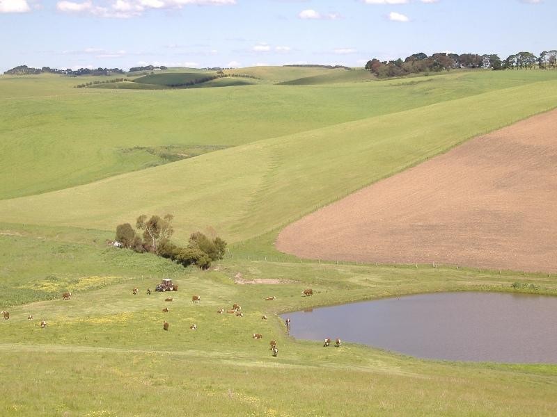 82 SCHOOL LANE, Henty VIC 3312