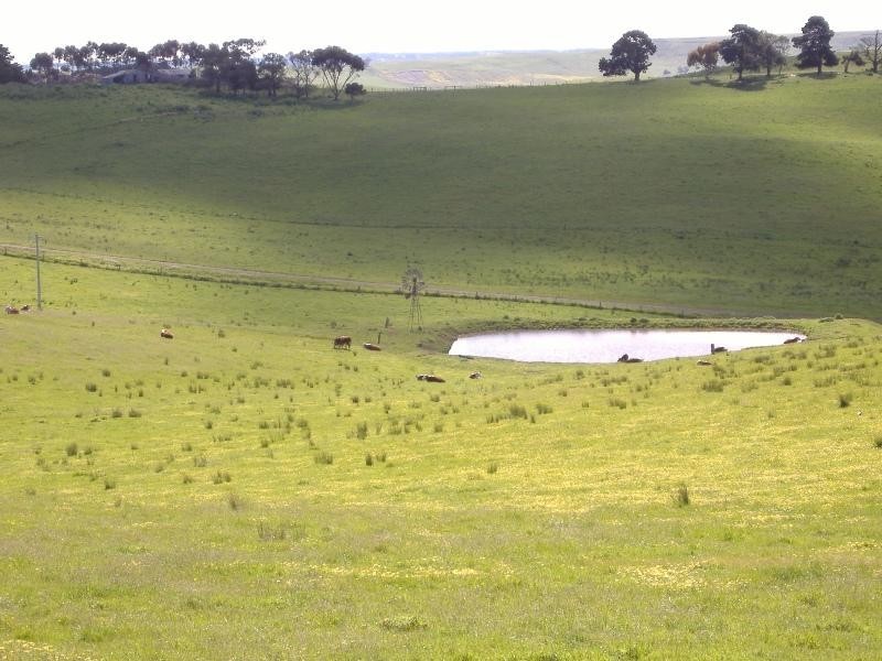 82 SCHOOL LANE, Henty VIC 3312