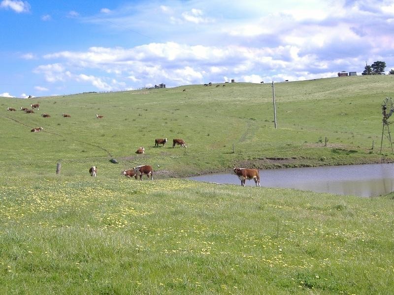 82 SCHOOL LANE, Henty VIC 3312