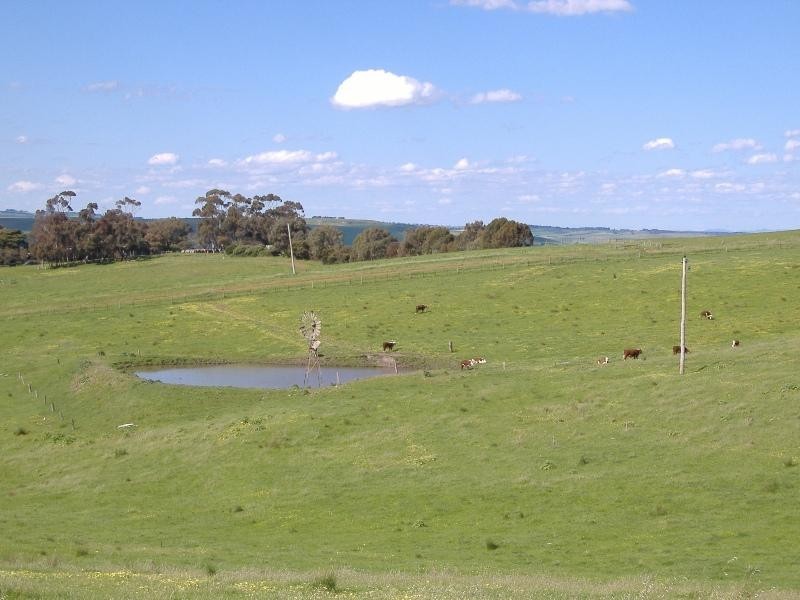 82 SCHOOL LANE, Henty VIC 3312