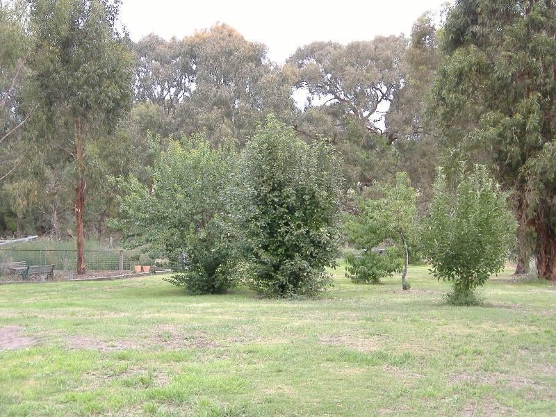 59 Noss Retreat Road, Casterton VIC 3311