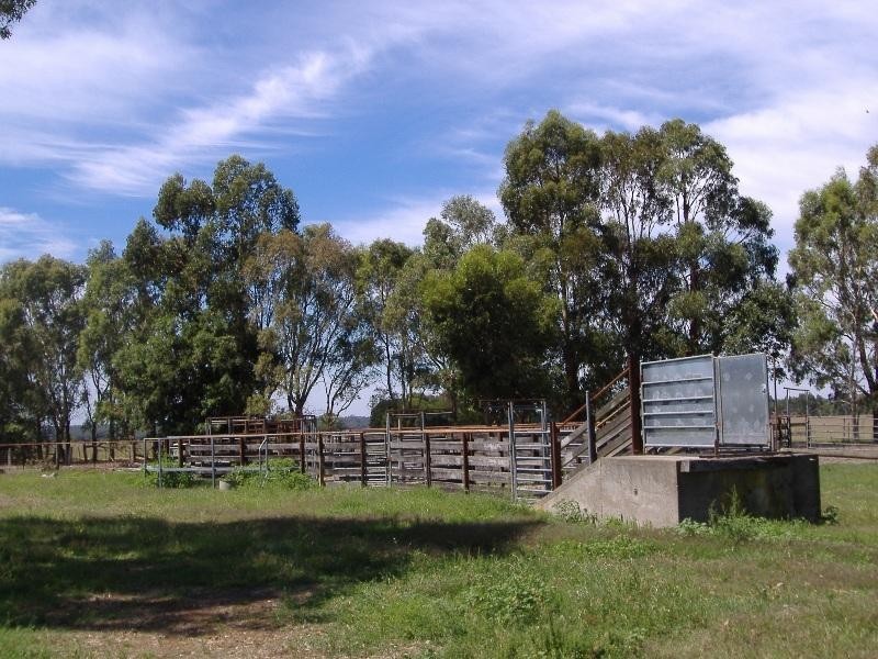 285 Warrock Road, Casterton VIC 3311