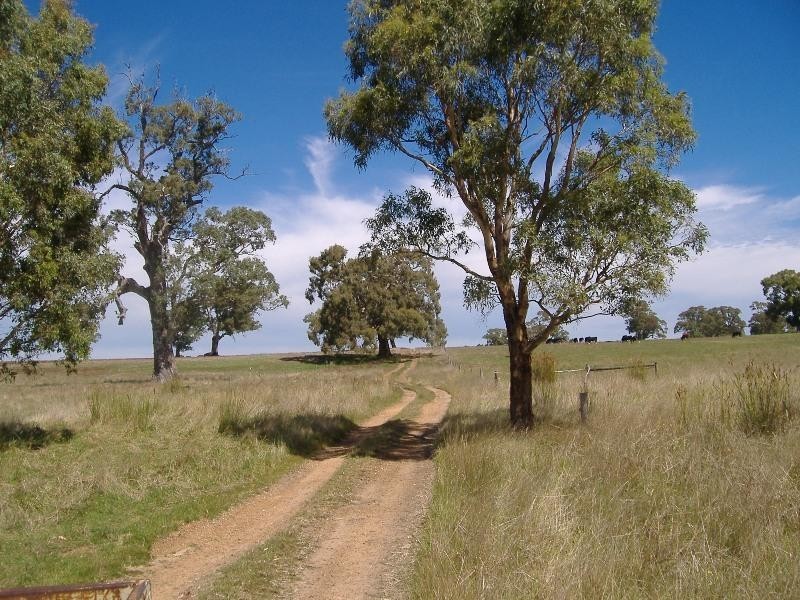 285 Warrock Road, Casterton VIC 3311