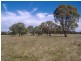 285 Warrock Road, Casterton VIC 3311