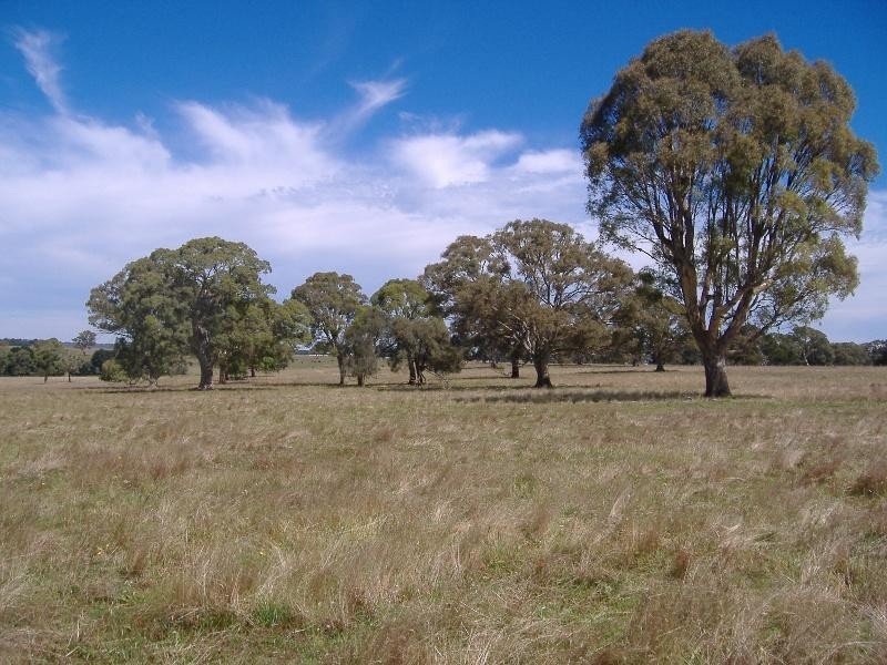 285 Warrock Road, Casterton VIC 3311