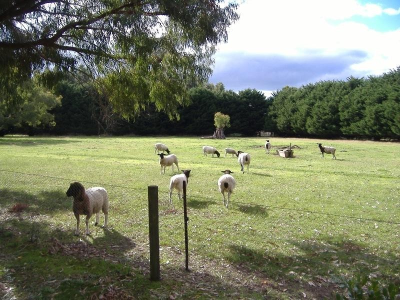 25 Wando Dale Road, Nareen VIC 3315