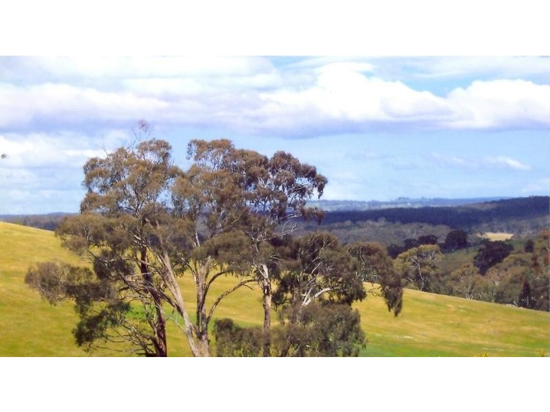 177 Nevens Road, Yandoit Hills VIC 3461