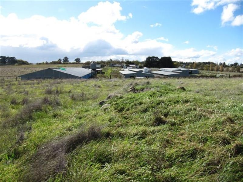 389 Youngs Road, Malmsbury VIC 3446