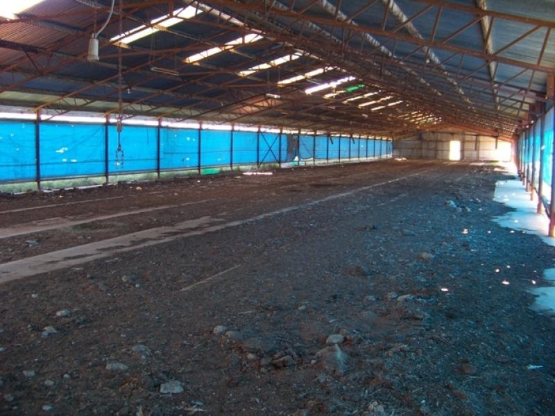 389 Youngs Road, Malmsbury VIC 3446