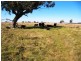 Malmsbury VIC 3446