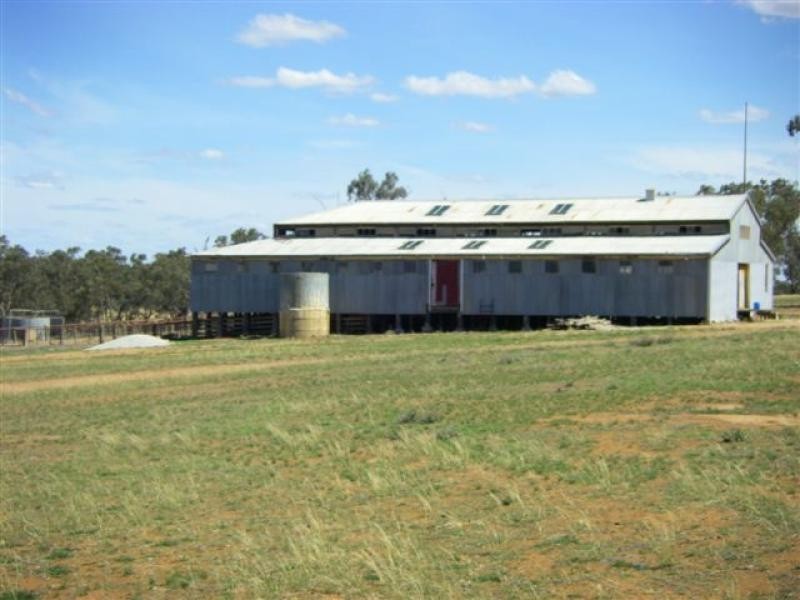 Berrigan NSW 2712