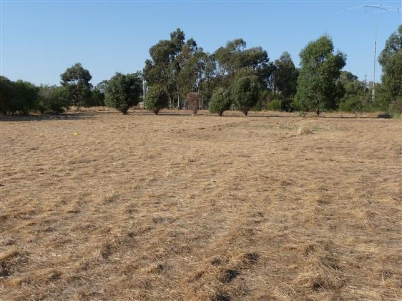 49 Honniball Drive, Tocumwal NSW 2714