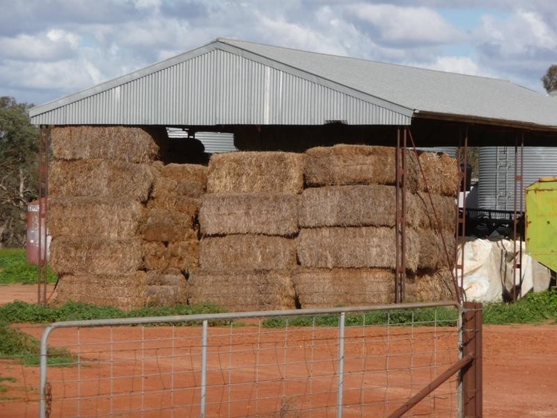 Goolgowi NSW 2652 the real estate agency Withdrawn