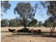 Berrigan NSW 2712