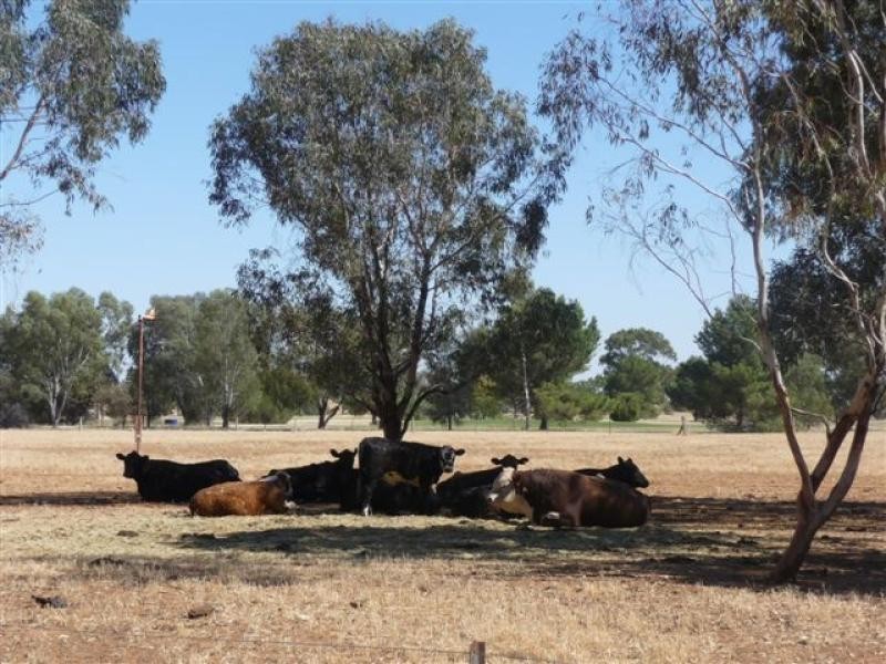 Berrigan NSW 2712