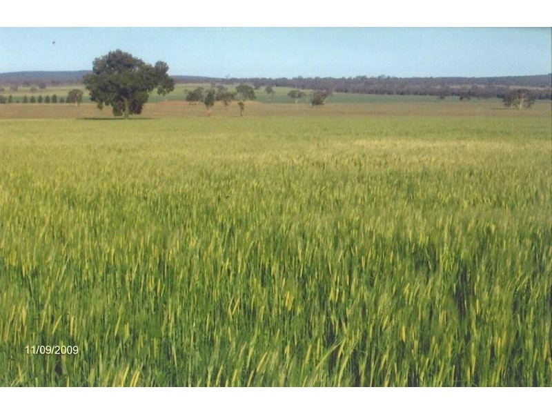 Rankins Springs NSW 2669