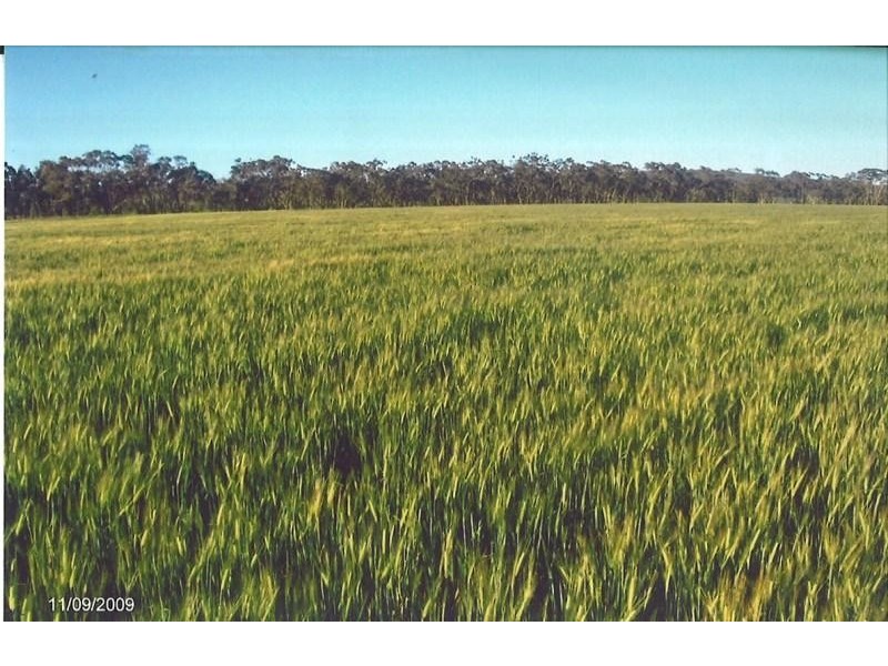 Rankins Springs NSW 2669
