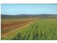 Rankins Springs NSW 2669