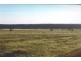 Rankins Springs NSW 2669
