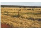 Rankins Springs NSW 2669