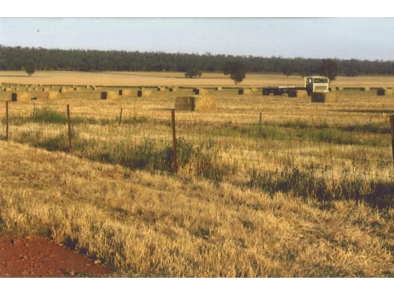 Rankins Springs NSW 2669
