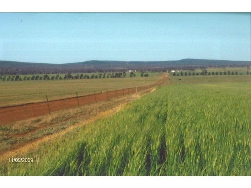 Rankins Springs NSW 2669