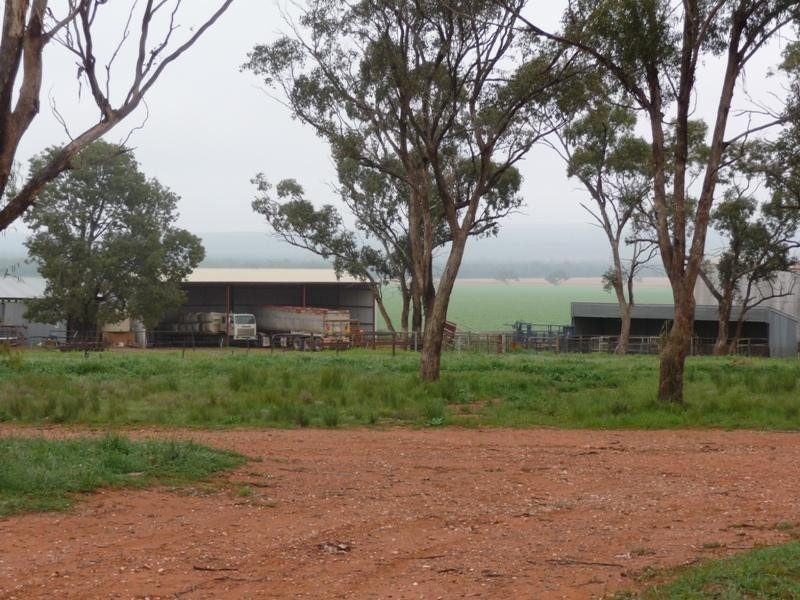 Rankins Springs NSW 2669