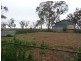 Rankins Springs NSW 2669