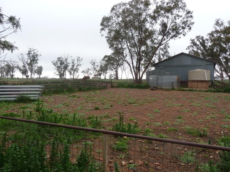 Rankins Springs NSW 2669