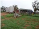 Rankins Springs NSW 2669