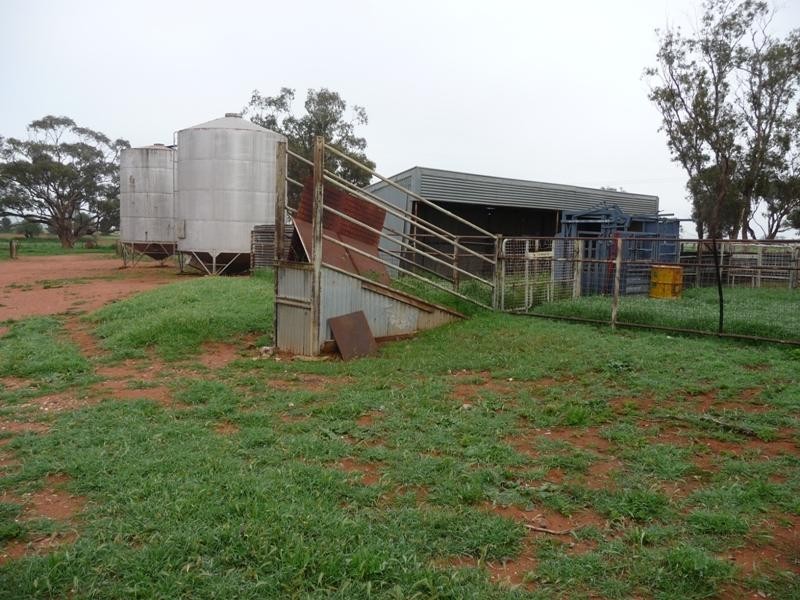 Rankins Springs NSW 2669