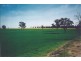 Berrigan NSW 2712