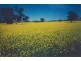 Berrigan NSW 2712