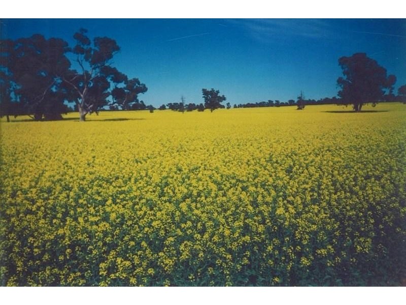Berrigan NSW 2712