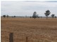 Berrigan NSW 2712