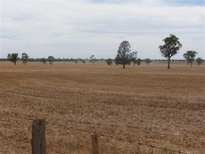 Berrigan NSW 2712