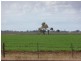 Jerilderie NSW 2716